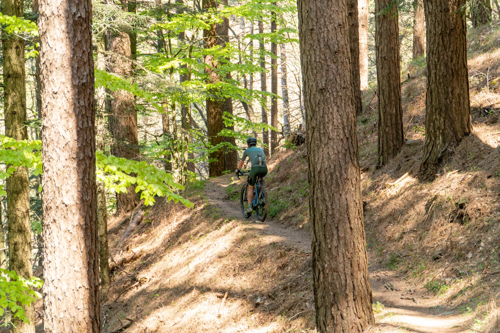 The Truth About Gravel Route Image