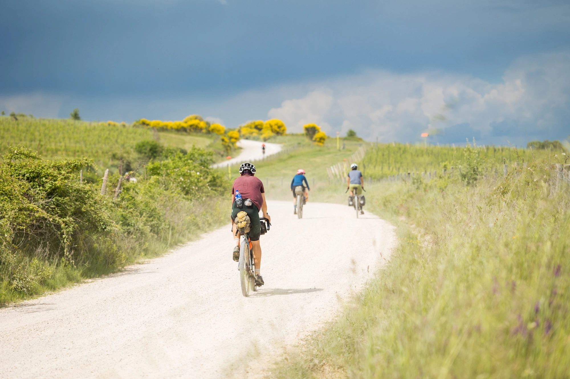 Behind the scenes of Tuscany Trail 2025: interview with the founder Image