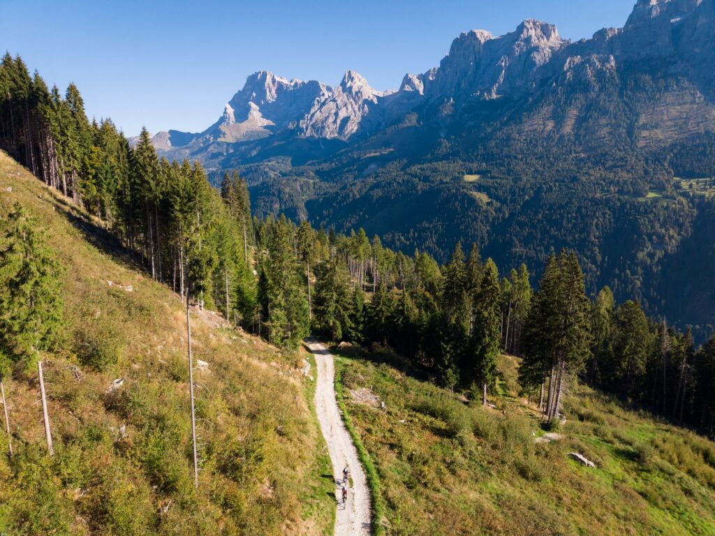 A gravel road runs through meadows and fir trees toward a line of Dolomite peaks